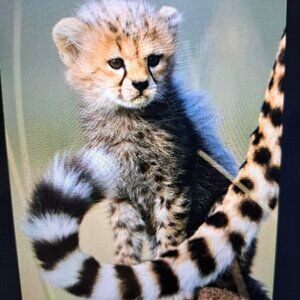 Meet your Posher, Valerie